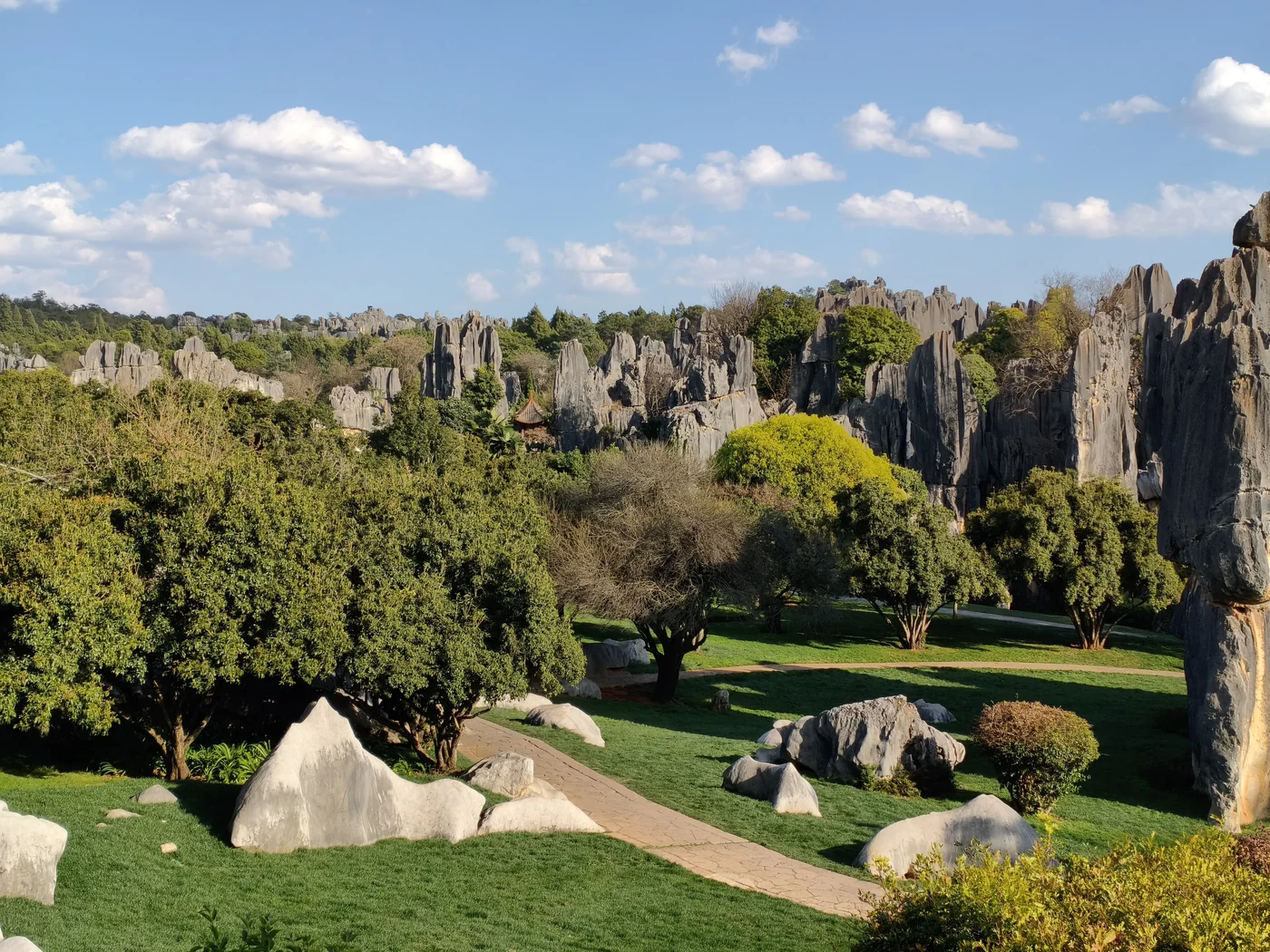 Limestone pinnacles, trees and a public path at Shilin Stone Forest.