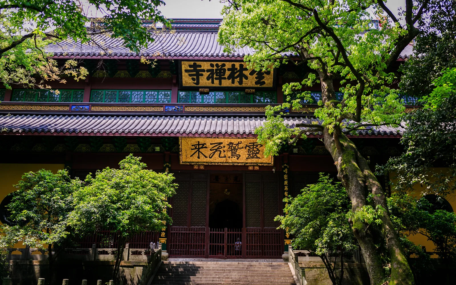从古树间望见的杭州灵隐寺殿堂，门上挂着黄色匾额