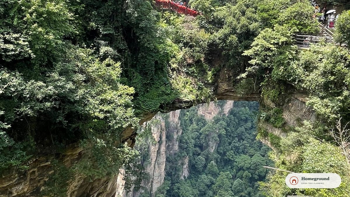 张家界一座天然石桥横跨林谷,栏杆上系满红色祈福带。