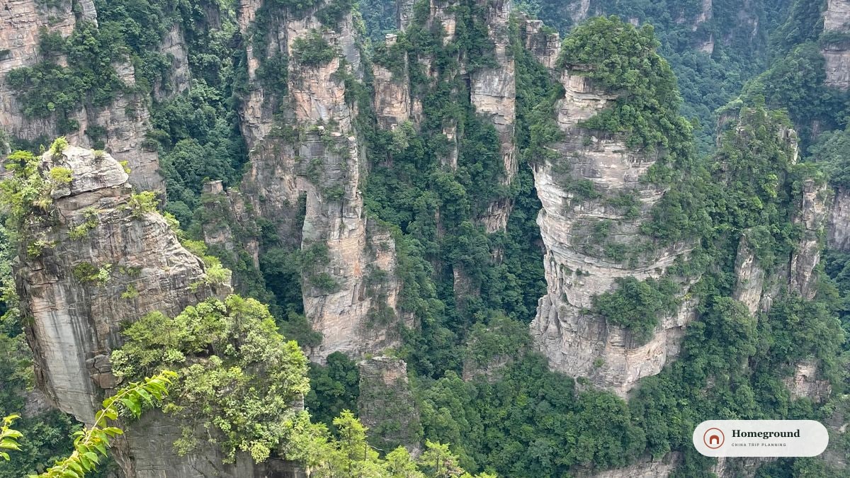 张家界国家森林公园层叠的砂岩石柱与深绿山谷。