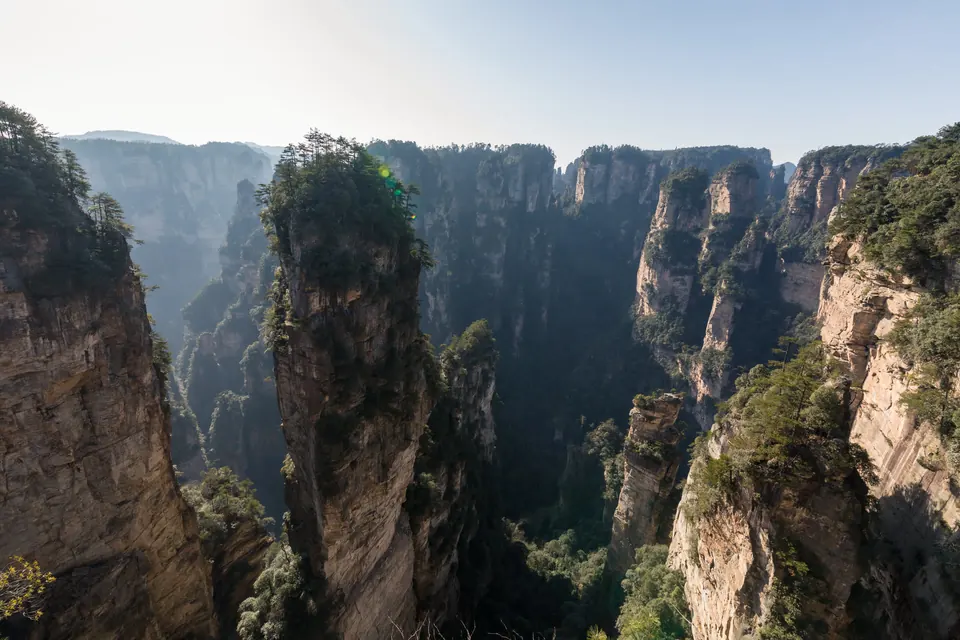 Sunlit sandstone pillars and deep forested ravines in Zhangjiajie National Forest Park.