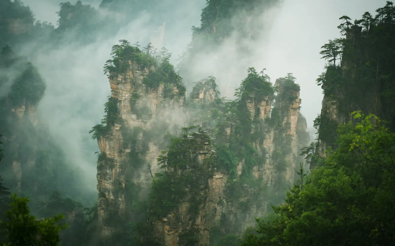 Mist among sandstone pillars in Zhangjiajie National Forest Park
