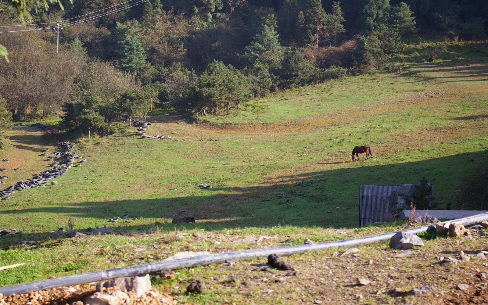 Meadow at Fairy Mountain in Wulong