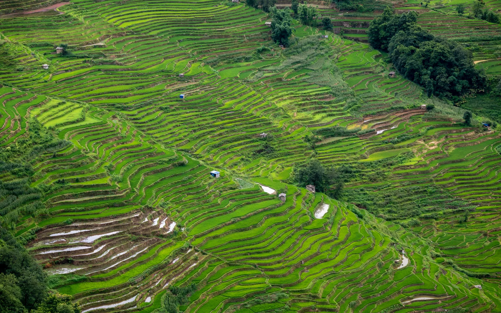Hani rice terraces in Yuanyang