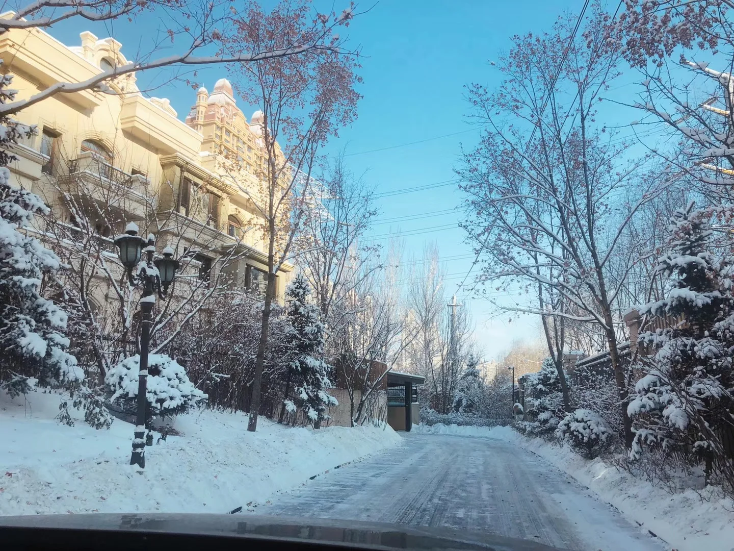Calle y árboles cubiertos de nieve en Harbin