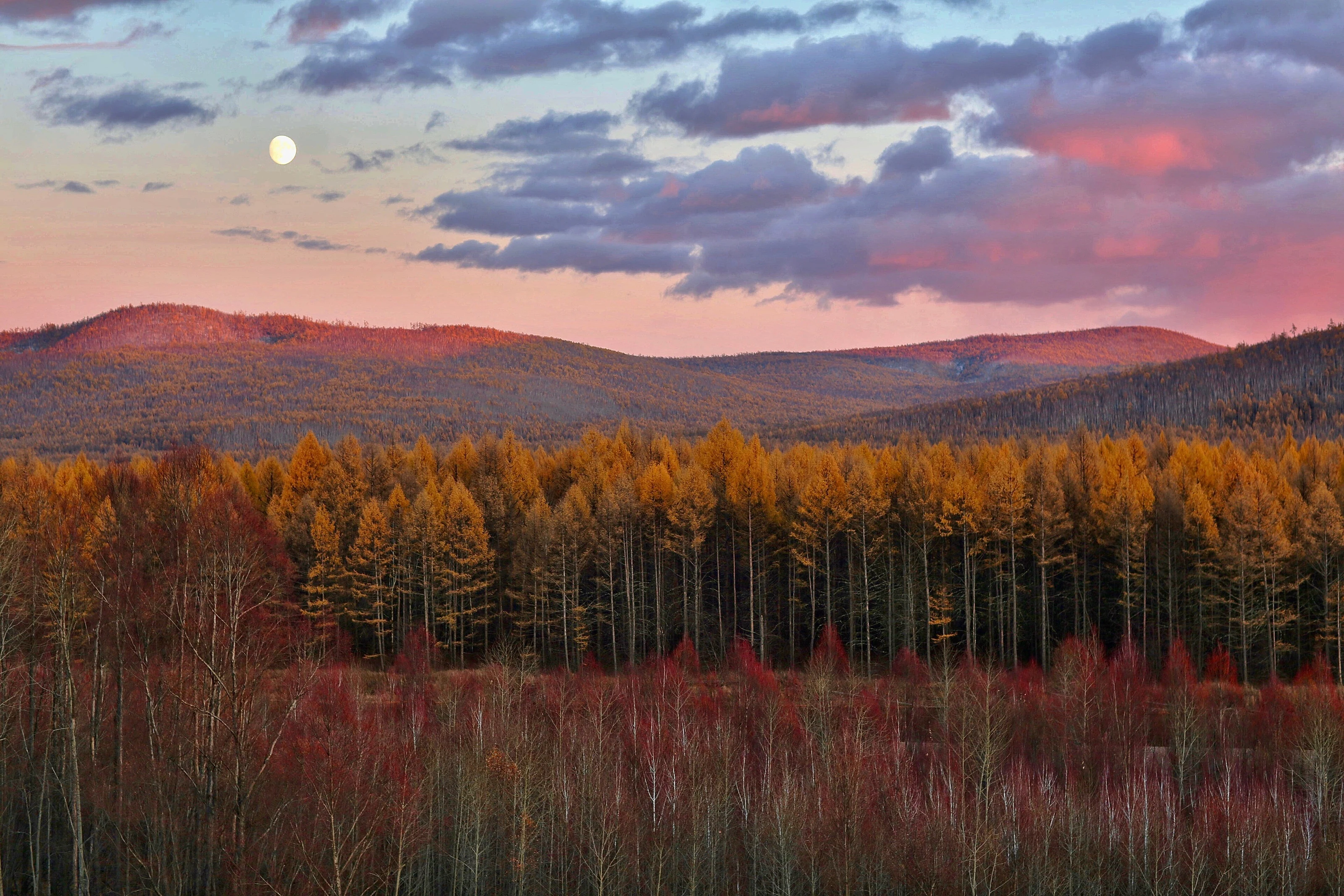 A river and forest in the Greater Khingan range around Genhe