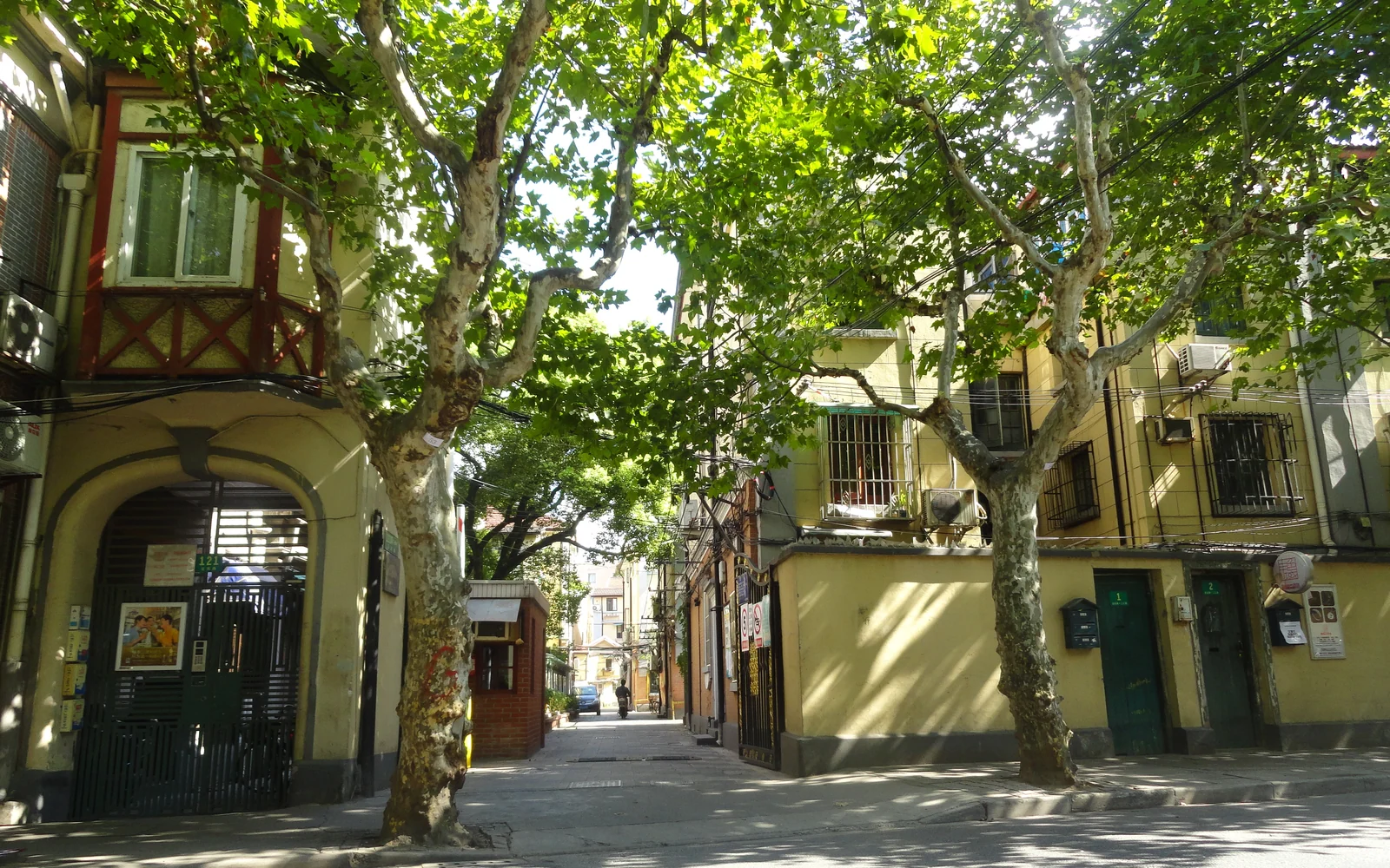 Tree-lined Yanqing Road in Shanghai's former French Concession, photographed in 2013
