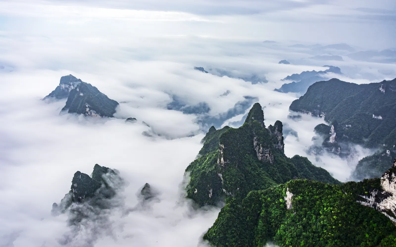 A sea of clouds among Zhangjiajie's peaks